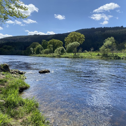 River Tay Salmon Pools
