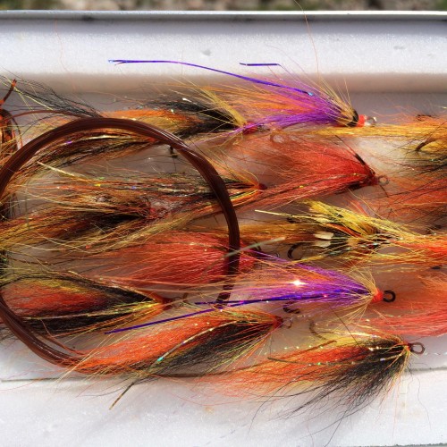 This fly box is loaded with lots of little Atlantic salmon surprises! The purple winged fly was one I was designing several years ago when this shot was taken. It had an almost instant reaction when tied on and fished over Summer resident salmon after these salmon had seen all of the normal fly patterns. Sometimes salmon fly selection is a psychological game of opposites!