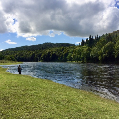 Here's a lone angler out with his fly rod on the left bank of the amazing Cottar Pool on the River Tay near Dunkeld. The river is running at around 3ft above Summer level in this shot so it's easy to fish this salmon pool off the grass at this water height.
