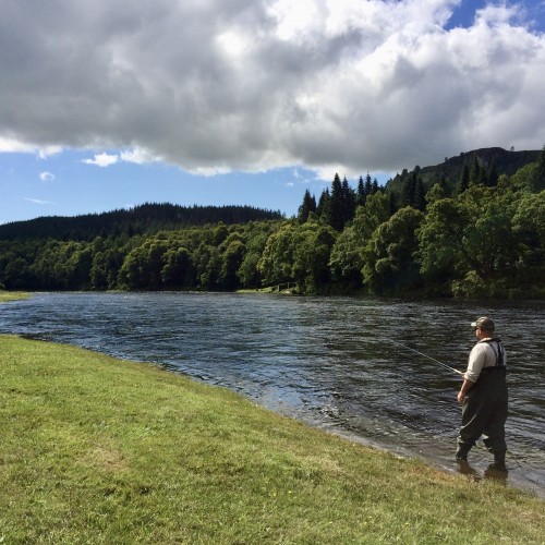 The most important part of salmon fly fishing is manufacturing good water coverage over the full course of the fishing as that's ultimately what finds you a cooperating salmon! Here's a salmon fisher on the River Tay putting his newly learned salmon fishing movement technique into practice near Dunkeld.