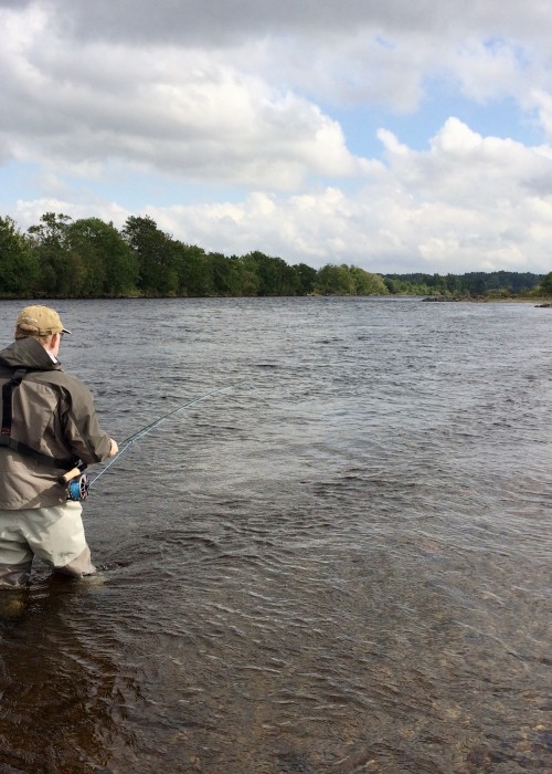 Fishing The River Tay