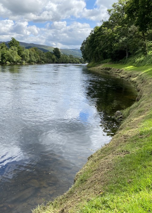 River Tay Salmon Fishing