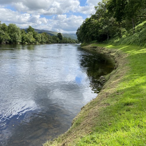 River Tay Salmon Fishing