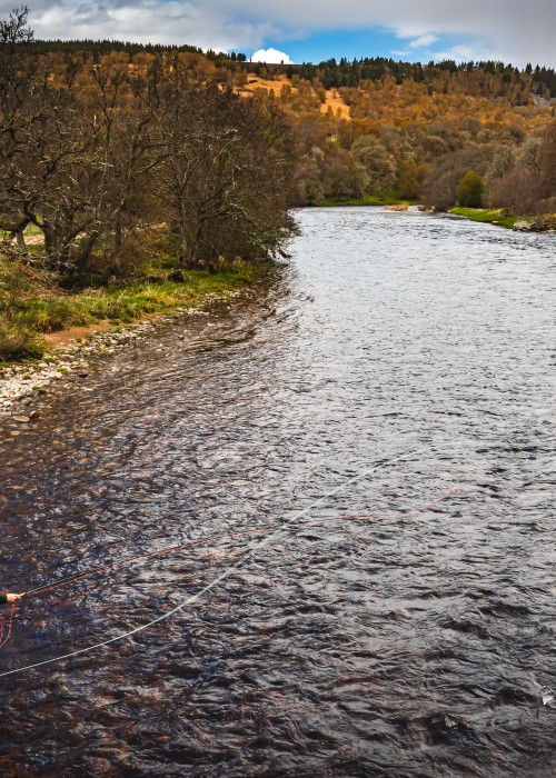 River Spey Salmon Fishing