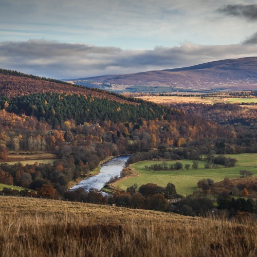 Here's a shot taken from the hill of the River Spey on the Tulchan Estate near Advie which is 20 minutes away from Grantown. This area of the Spey Valley has some of the finest salmon fly fishing water.