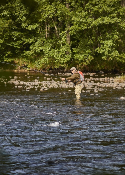 Here's a River Spey salmon fisher casting a line out across the river on the famous Tulchan Estate near Advie which is globally regarded as one of the most perfect salmon fly fishing venues Scotland has to offer.