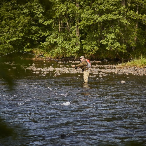 Here's a River Spey salmon fisher casting a line out across the river on the famous Tulchan Estate near Advie which is globally regarded as one of the most perfect salmon fly fishing venues Scotland has to offer.