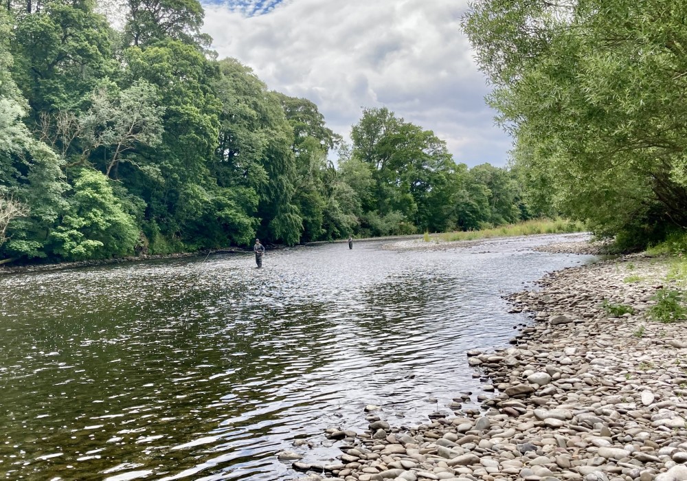 River Tweed Salmon Fishing