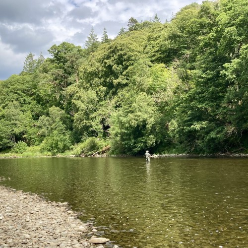 Here's a lovely Summer shot of the River Tweed on the Boleside salmon fishing beat near Galashiels. In low clear warm water conditions like this you need a delicate salmon fly presentation.