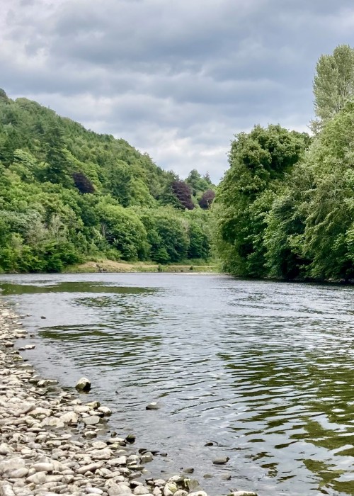 Here's a lovely low water Summer shot of the River Tweed near Galashiels. Look at the beautiful native woodlands that shroud the riverbanks here.