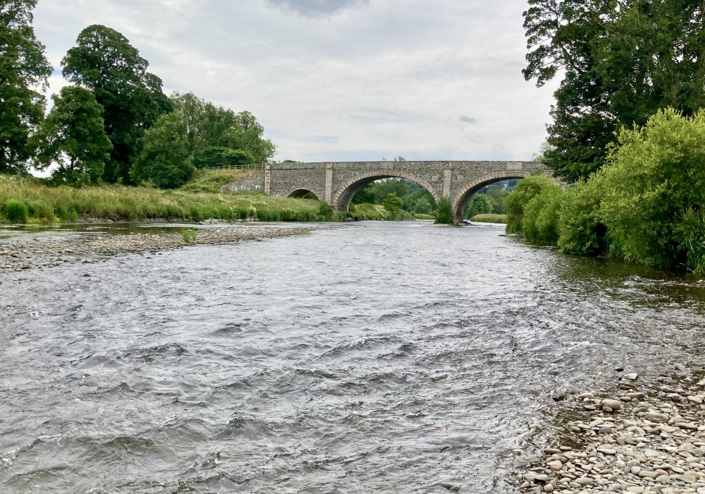 River Tweed Salmon Fishing