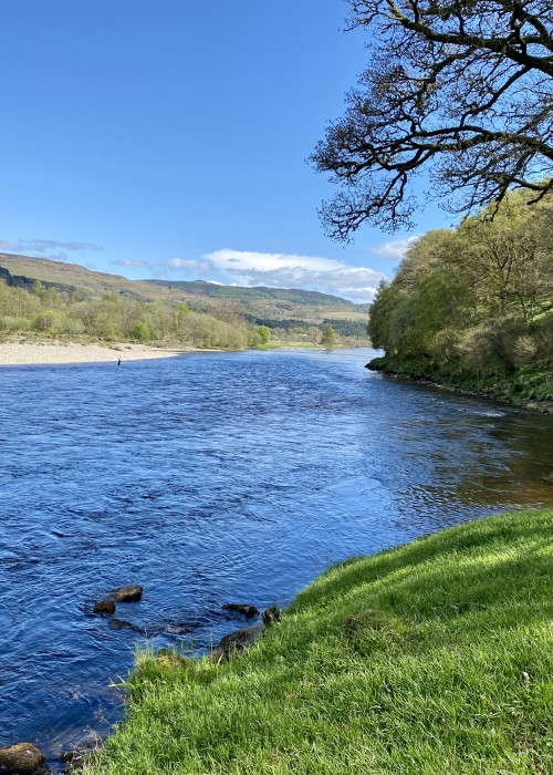 In the tail of this pool about 25 yards out from these protruding riverside stones there's an excellent salmon lie where running fish like to briefly pause. A long line fished while wading from an upstream position is how to best cover this salmon lie in order to narrow the cast angle to slow the pace of the fly over this hot spot.