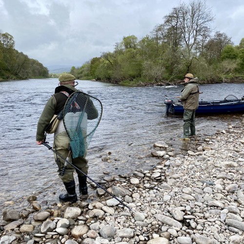 Here's one of our salmon guides keeping a close eye on his fishing guest at the mouth of the River Tummel where it enters the River Tay near Dunkeld. This is a renowned salmon fishing 'hot spot' during the Spring months and this photograph was taken in May.