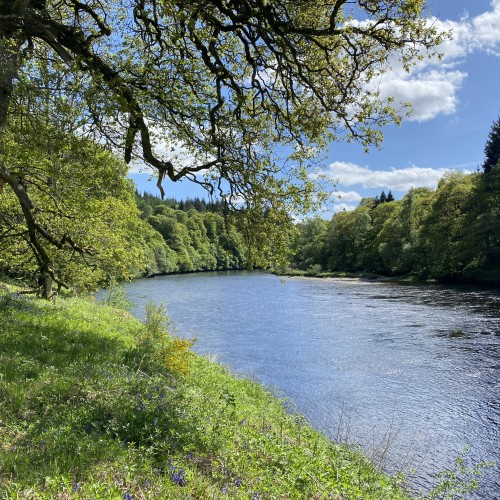Here's the perfect downstream view of the Oak Tree Pool which is located on the River Tay near Dunkeld. This area of the Tay Valley is highly scenic and especially during late Spring when this lovely shot was taken.