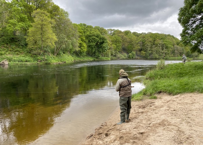 How To Spin Fish For Salmon In Scotland