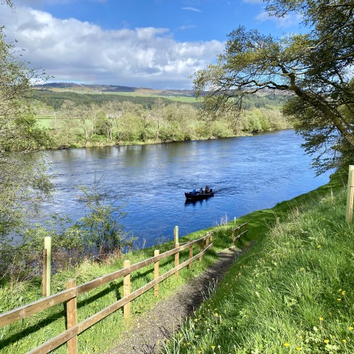 Here's the Head Ghillie on the Kinnaird Beat bringing our guided fishing guests back up to the fishing hut at 5pm after a full day out on the Tay. Look at the amazing Springtime riverbank scenery in this perfect shot.