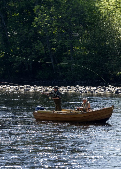 This traditional River Tay salmon fishing boat is anchored up in the Dunkeld House Cathedral Stream slightly upstream of the landmark Telford Bridge in Dunkeld. You can see the guest casting a fly and while this is done the boatman lets out a yard of rope between each cast which is how the pool is covered.