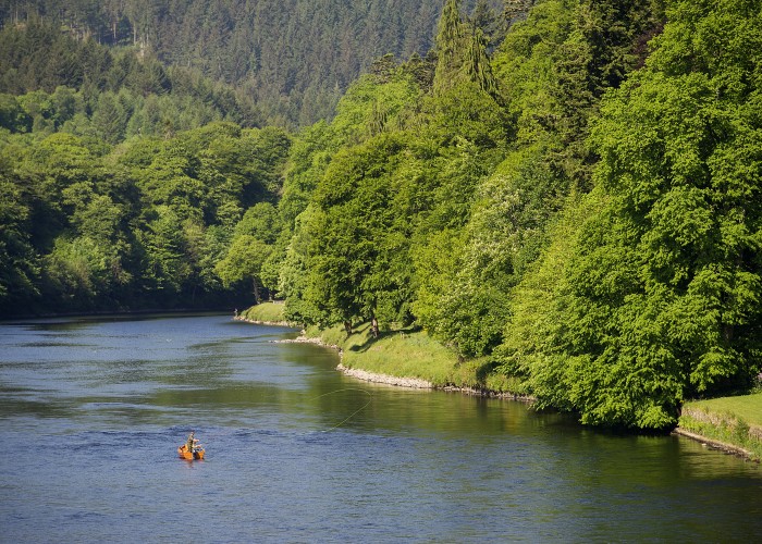 How To Book River Tay Salmon Fishing