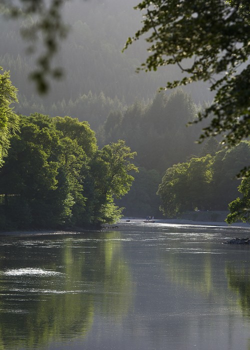 There's Northern pike to be found in the deeper slower moving pools of the middle River Tay between Dunkeld & Pitlochry. Pike prefer the deep pools like this one on the Dunkeld House Beat near Dunkeld.