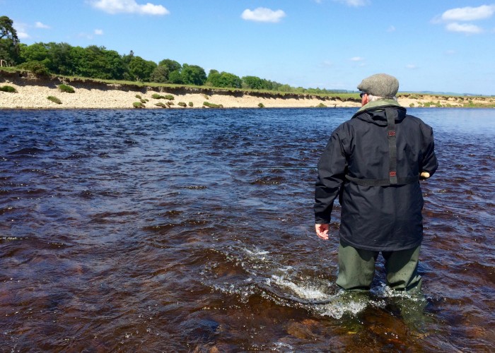 How To Learn Good Salmon Fishing Riverbank Movement