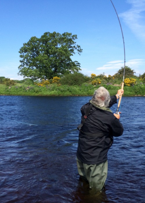 This is a tricky unnatural feeling cast for all right handed salmon fly fishers of which the vast majority of fishers are. Mastering the left hand Spey cast like what you see here is simply done by mental mirror cast duplication of what you've already taught your right hand to do! This Spey caster is performing this traditional Spey cast on the Oak Tree Pool (guess why!) of the River Tay near the village of Meikleour in Perthshire.