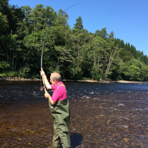 This pink shirted salmon angler is pictured here at the 'Joiner's Yard' Pool of the River Tummel near Ballinluig in Perthshire. He's learning the traditional Single Spey cast with this right hand. As he was doing so that day a salmon actually took the piece of red wool he was practising with!