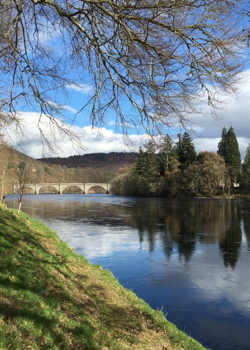 This is the perfect Gauge Tree salmon pool on the Dunkeld House Beat of the River Tay. This is a great salmon lie as running fish nose in here for a breather after pushing up through the fast water under the Dunkeld Telford Bridge in the distance.
