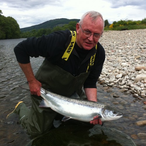 This happy River Tay salmon fisher hook, played and landed this perfect fresh run Spring salmon during late May in the Meetings Pool of the Kinnaird Beat near Dunkeld. A high rod tip is essential while playing a powerful fish like this to avoid a drowned fly line which could exert too much pressure on the hook hold.