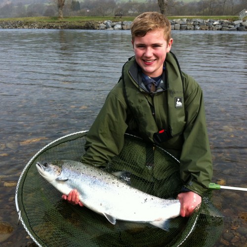 Here's young Robbie Fairfull (12) with his first of 2 perfect 20lbs River Tay Spring salmon which he caught on the Kinnaird Beat in rapid succession of one another on the last day of March.