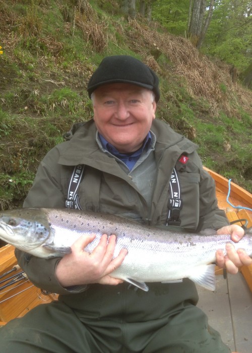 Look at the big bunch of daffodils up behind this lucky River Tay salmon fishing guest. These Spring flowering plants were used by the old Tay ghillies to mark the Spring salmon lies earlier this century. You can see they have still not lost their accuracy! This fine March Spring salmon was caught near Pitlochry on the River Tay.