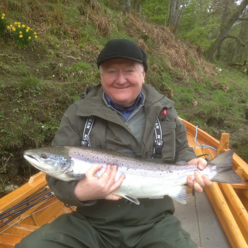 Look at the big bunch of daffodils up behind this lucky River Tay salmon fishing guest. These Spring flowering plants were used by the old Tay ghillies to mark the Spring salmon lies earlier this century. You can see they have still not lost their accuracy! This fine March Spring salmon was caught near Pitlochry on the River Tay.