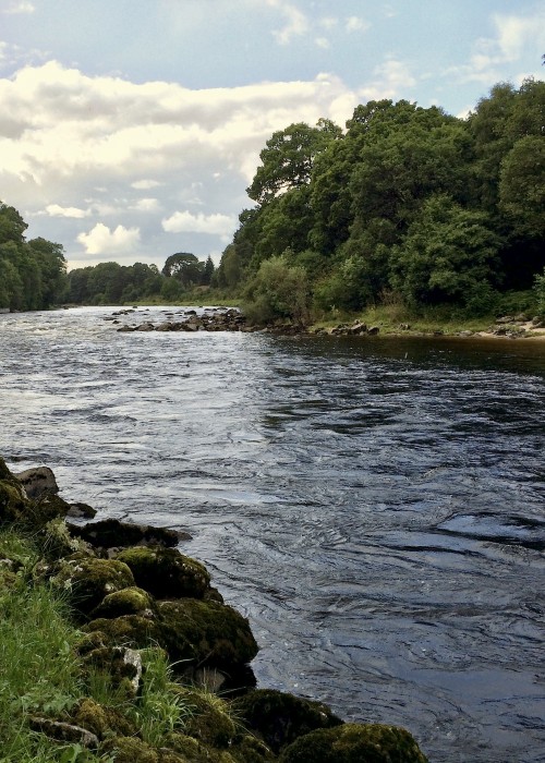 The Aberdeenshire River Dee is one of Scotland's salmon fly fishing gems as is the beauty of the Dee Valley and the exceptional Banchory Lodge Hotel which is positioned right beside the river. This fine photograph was taken in June slightly upstream from the Banchory Bridge on the Lower Blackhall salmon beat.