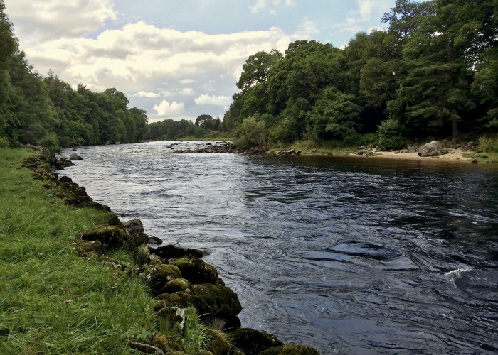 How To Book River Dee Salmon Fishing