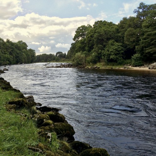 The Aberdeenshire River Dee is one of Scotland's salmon fly fishing gems as is the beauty of the Dee Valley and the exceptional Banchory Lodge Hotel which is positioned right beside the river. This fine photograph was taken in June slightly upstream from the Banchory Bridge on the Lower Blackhall salmon beat.