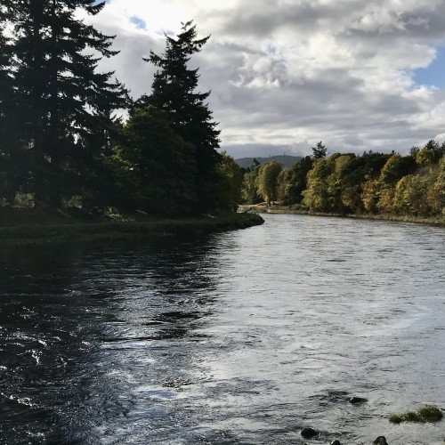 Here's a perfectly lit upstream shot looking into the productive 'Killing Hatch Pool' on the Invery & Tilquhillie salmon fishing beat near Banchory. Look at the lovely shimmer coming off the the top layer of water of the River Dee in this photograph.