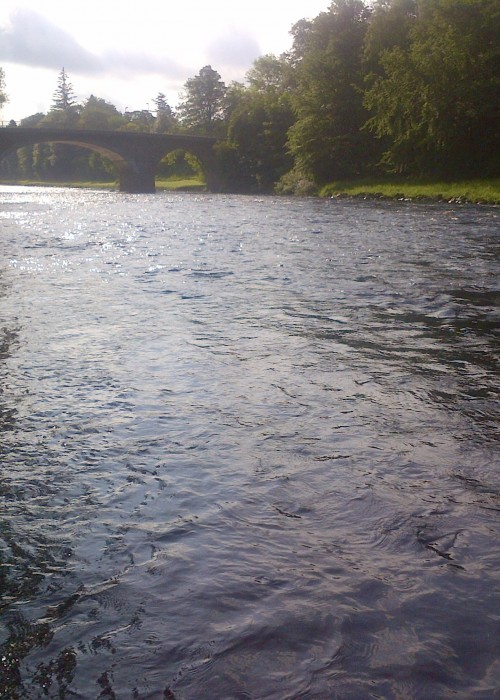 River Dee Salmon Fishing
