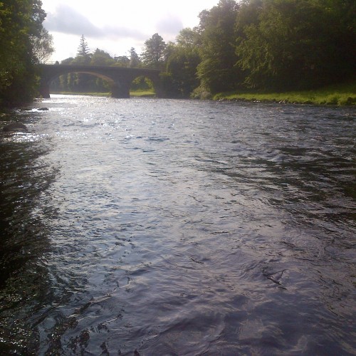 River Dee Salmon Fishing