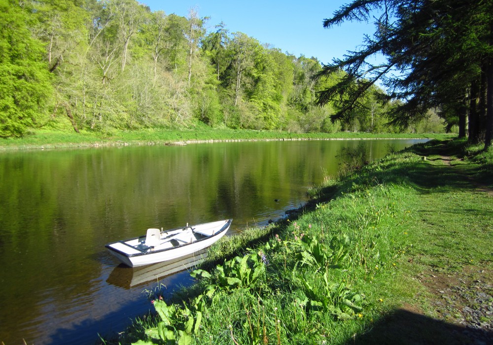 River Spey Salmon Fishing