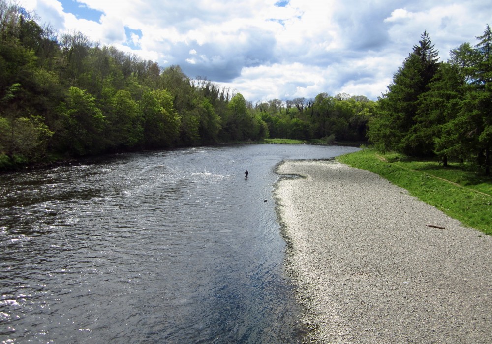 River Tweed Salmon Fishing