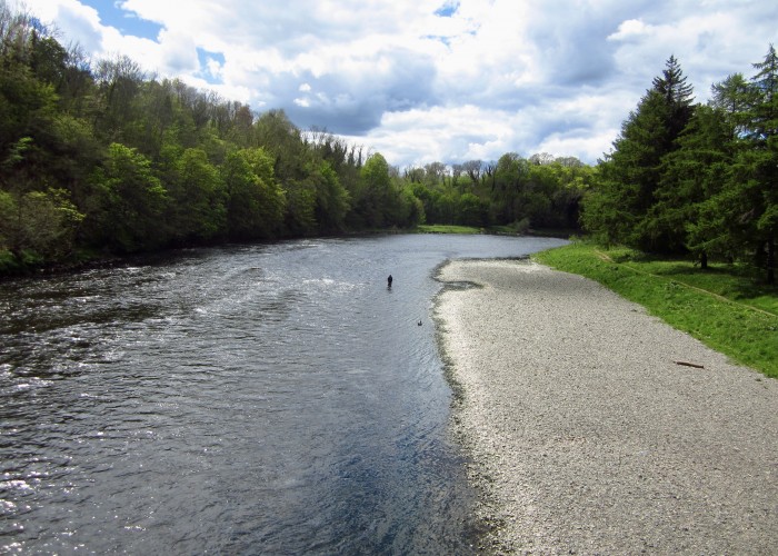 How To Book River Tweed Salmon Fishing