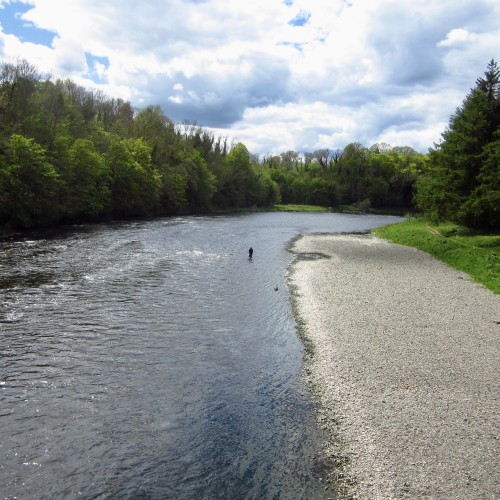 Perfect Summer fly fishing water conditions is what you can see in this photograph of the River Tweed near Galashiels. If you had to draw the perfect salmon pool and gravel riverbank this would be it on the Upper Dryburgh salmon beat.