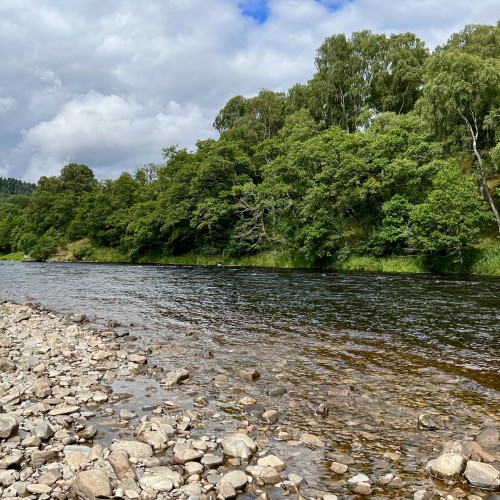 Welcome to the Tulchan Estate which owns 4 fabulous River Spey salmon fly fishing beats near Grantown. There's Scottish salmon fishing and then there's Tulchan which is my best way of describing this amazing fishery. The Spey is beautiful and fast flowing as you can see here in this photograph.