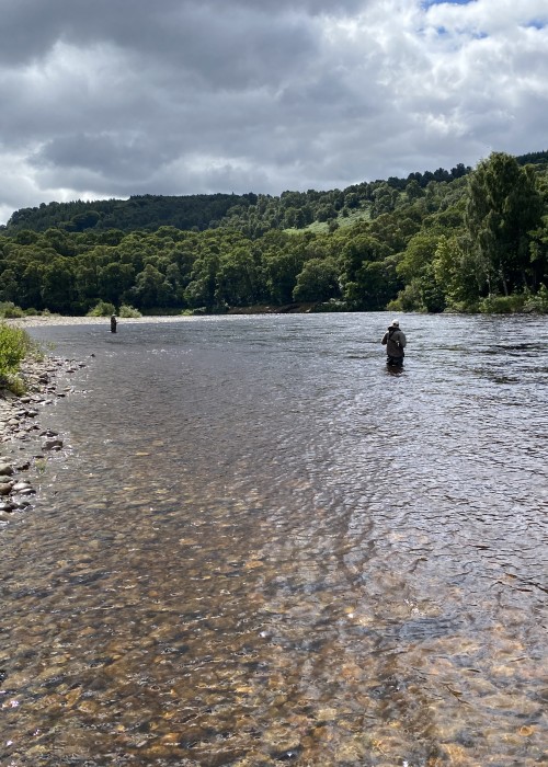 Here's 2 students testing out what they'd just been taught in a Spey casting lesson 20 minutes prior. You can see the river is up a foot as the light coloured sun bleached river bed stones are covered with water and hadn't darkened yet. This shot was taken at the Mike's Run Pool on Perthshire's River Tummel.