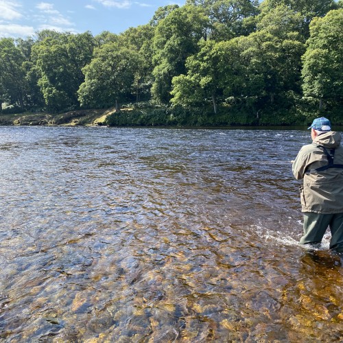 Here's perfect late Spring day on Perthshire's River Tay. Add a bit of lovely sunlight as seen here and you have the perfect salmon fishing conditions. This was the Meetings Pool on the River Tay near Ballinluig in Perthshire.