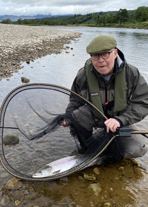 This perfect Spring salmon leap about the Ash Tree Pool on the Kinnaird Beat like a dolphin before finally being coaxed to the landing net. It's great to watch a fishing guest play and land a perfect salmon on the fly rod.
