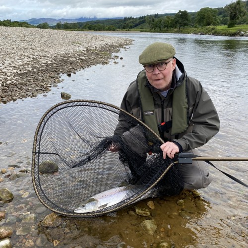 This perfect Spring salmon leap about the Ash Tree Pool on the Kinnaird Beat like a dolphin before finally being coaxed to the landing net. It's great to watch a fishing guest play and land a perfect salmon on the fly rod.