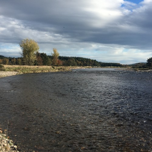 Here's a nice wee shot of the highly scenic River Dee up near Aboyne which is a very popular area for River Dee salmon fly fishers.