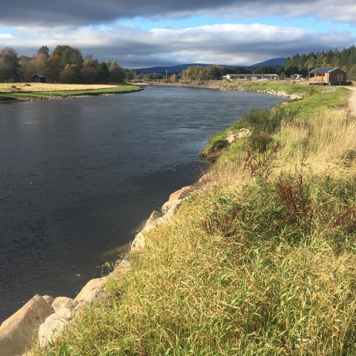 Here a shot of the Aboyne Water salmon beat which commences below the Aboyne Bridge. This salmon beat fishes well through the Spring and Summer but especially from July through to October when many salmon hold up in this area of the River Dee Valley.