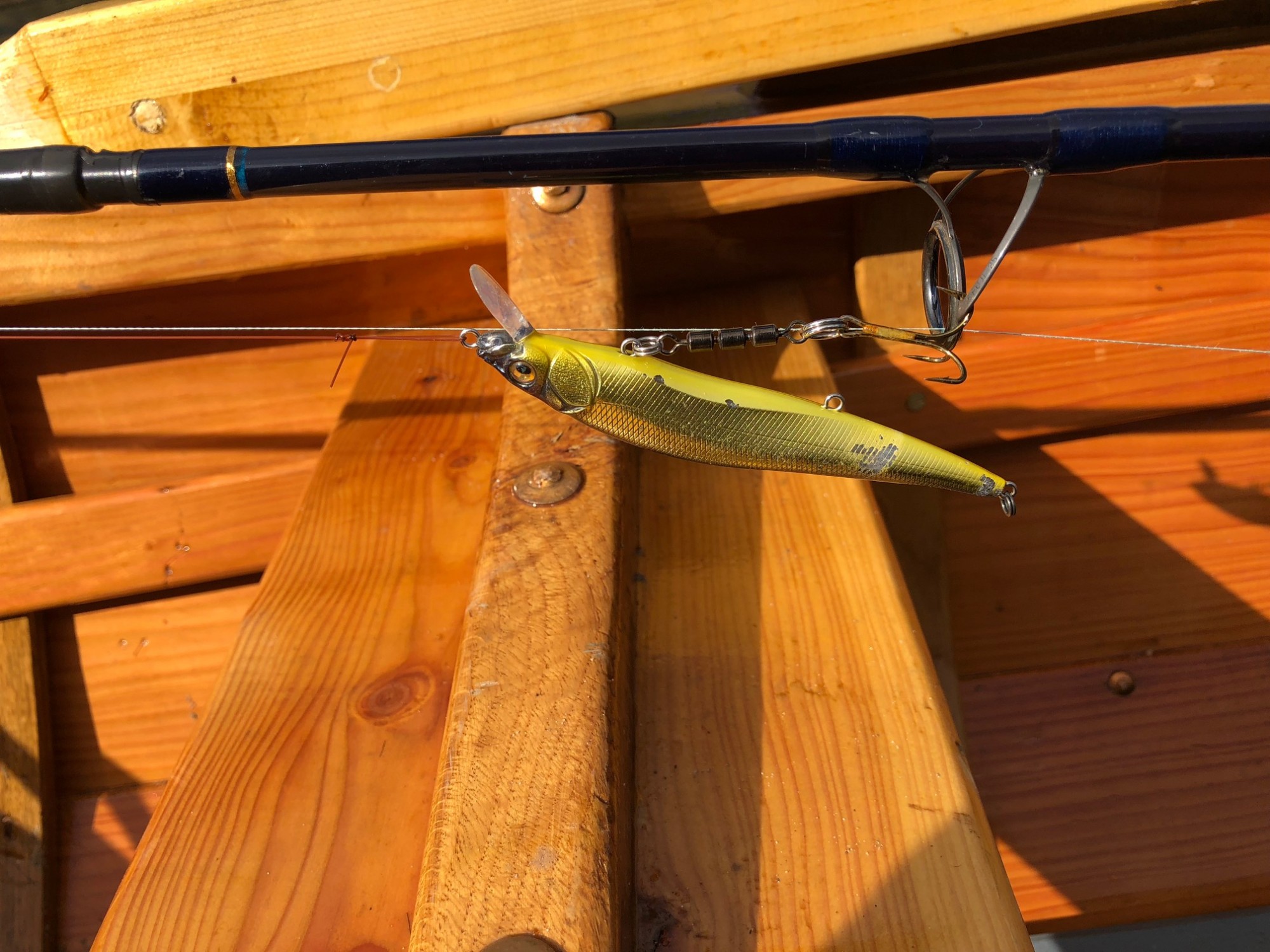 How To Hook A Salmon When Spin Fishing