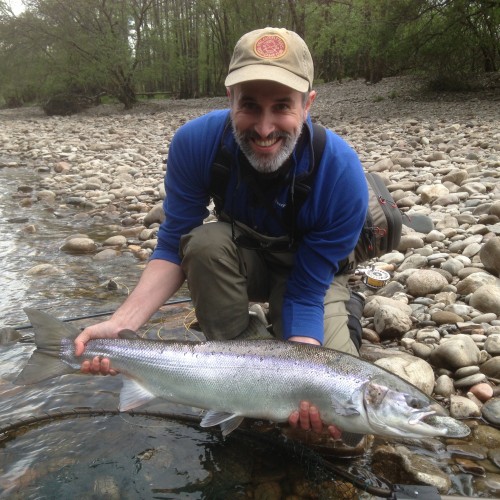 Look at this for a perfect fresh run River Tummel Spring salmon. This fish was caught during May opposite the far bank stream on the Killiechangie Pool of the Lower Tummel salmon beat which is located near Moulinearn in Perthshire.